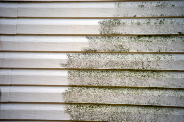 Best Stucco Siding  in Thedral City, CA