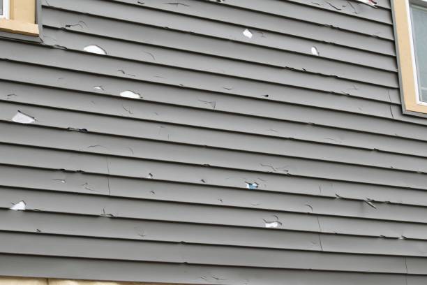 Best Siding Painting and Refinishing  in Thedral City, CA
